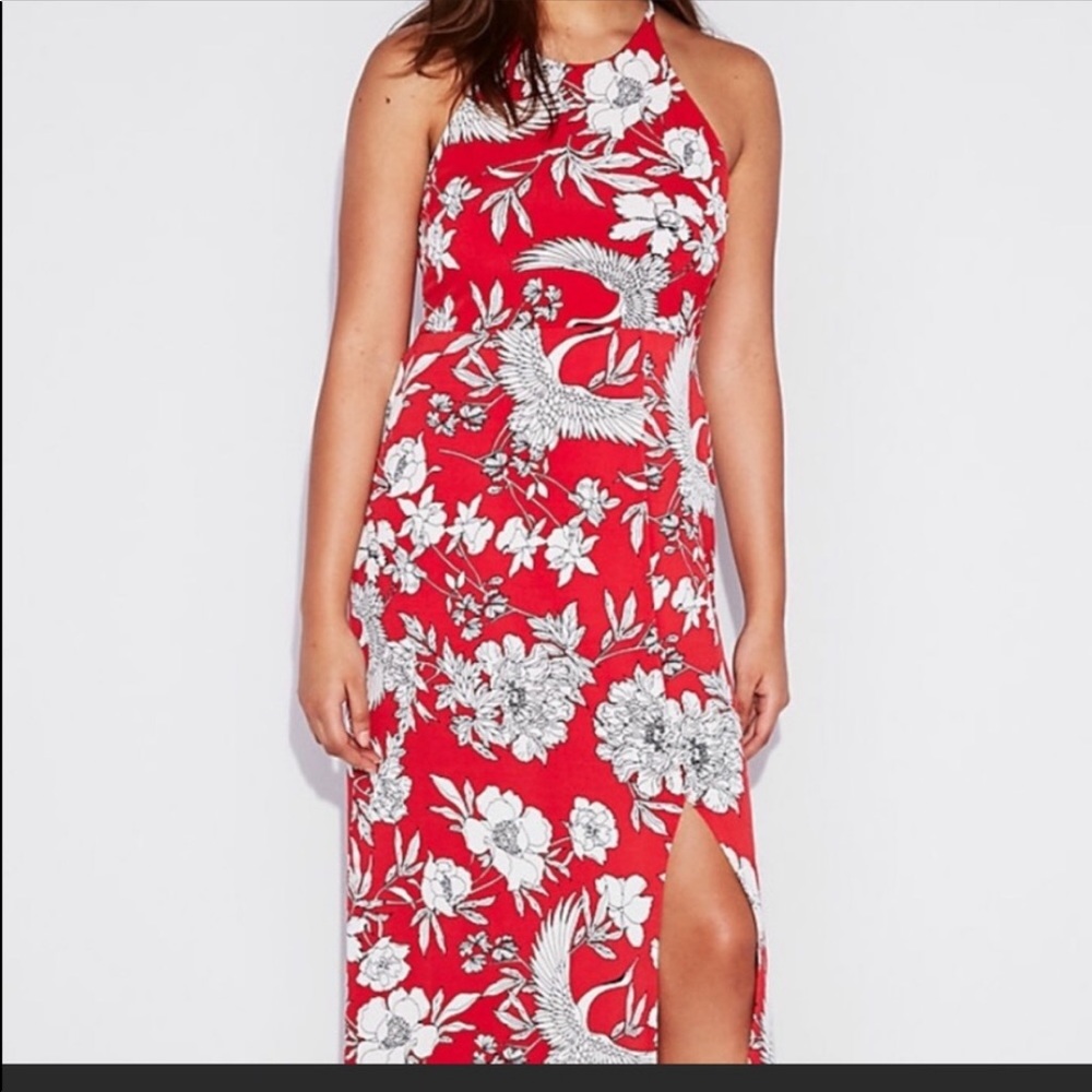 Express Red Floral Long Dress